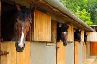 free Peldon stable construction quotes